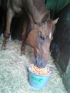 10553532_10204366565583678_5173460109047126842_n